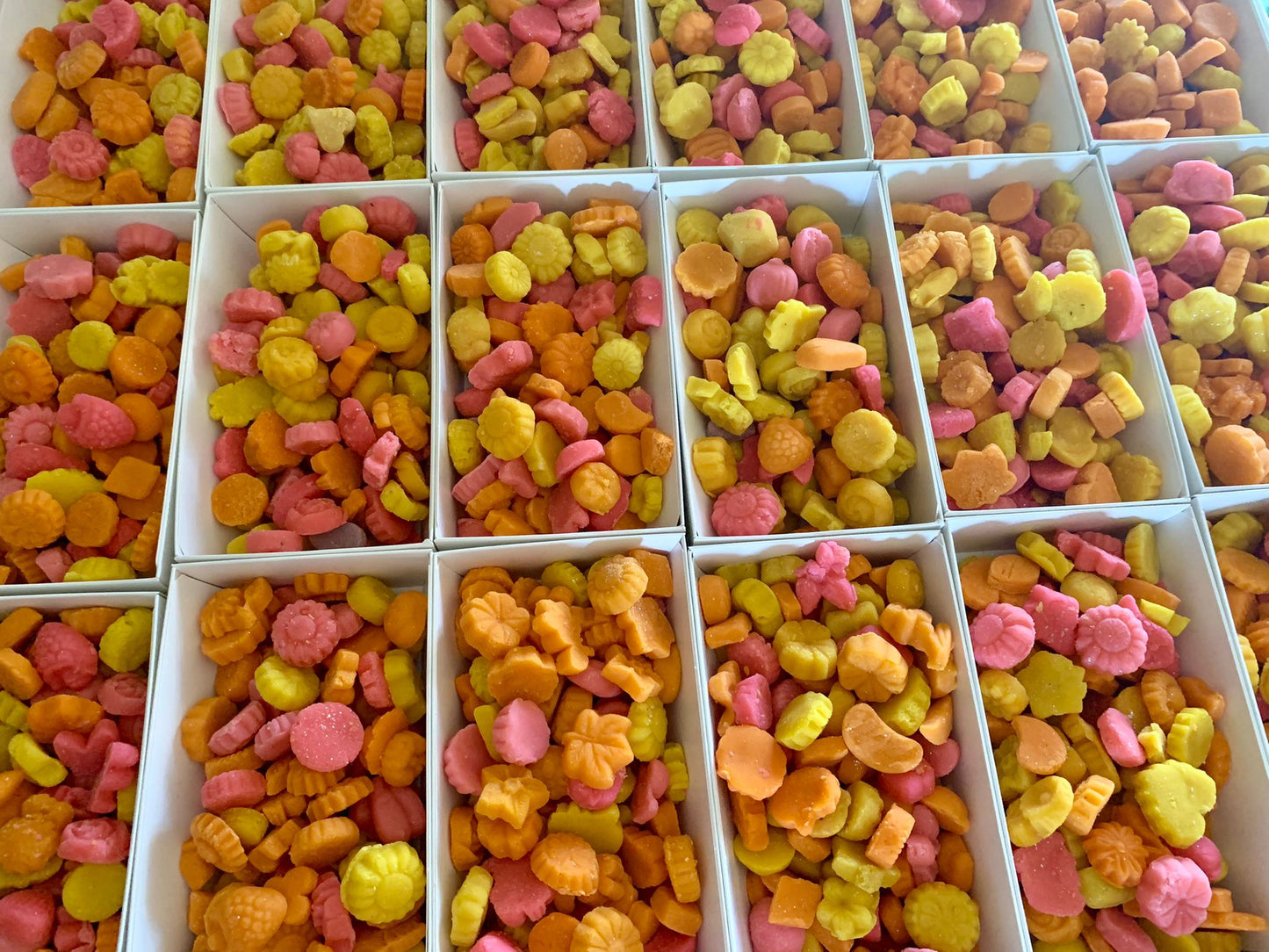 Marzipan Shapes